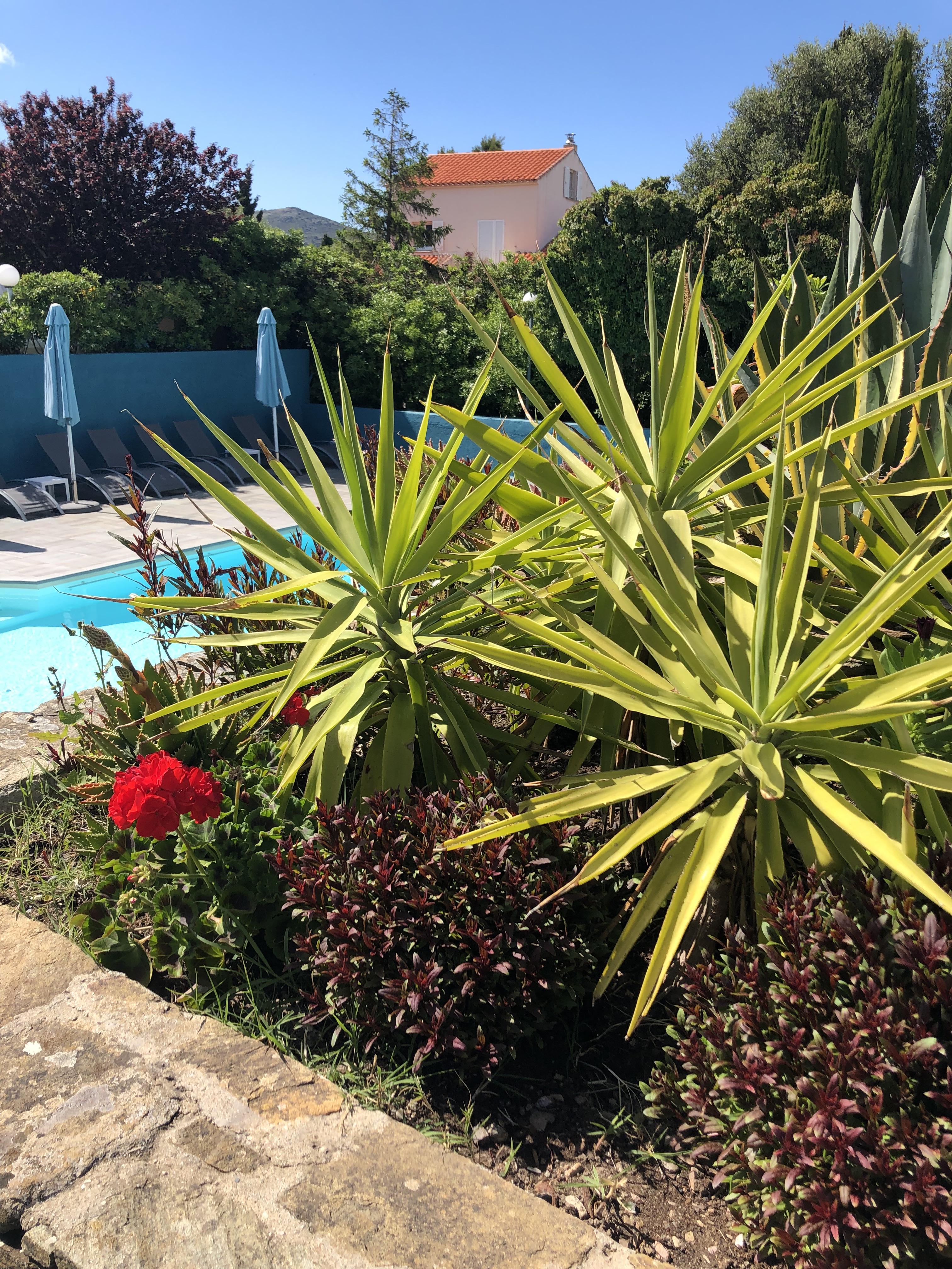 Hotel U Ricordu & Spa Macinaggio  Εξωτερικό φωτογραφία